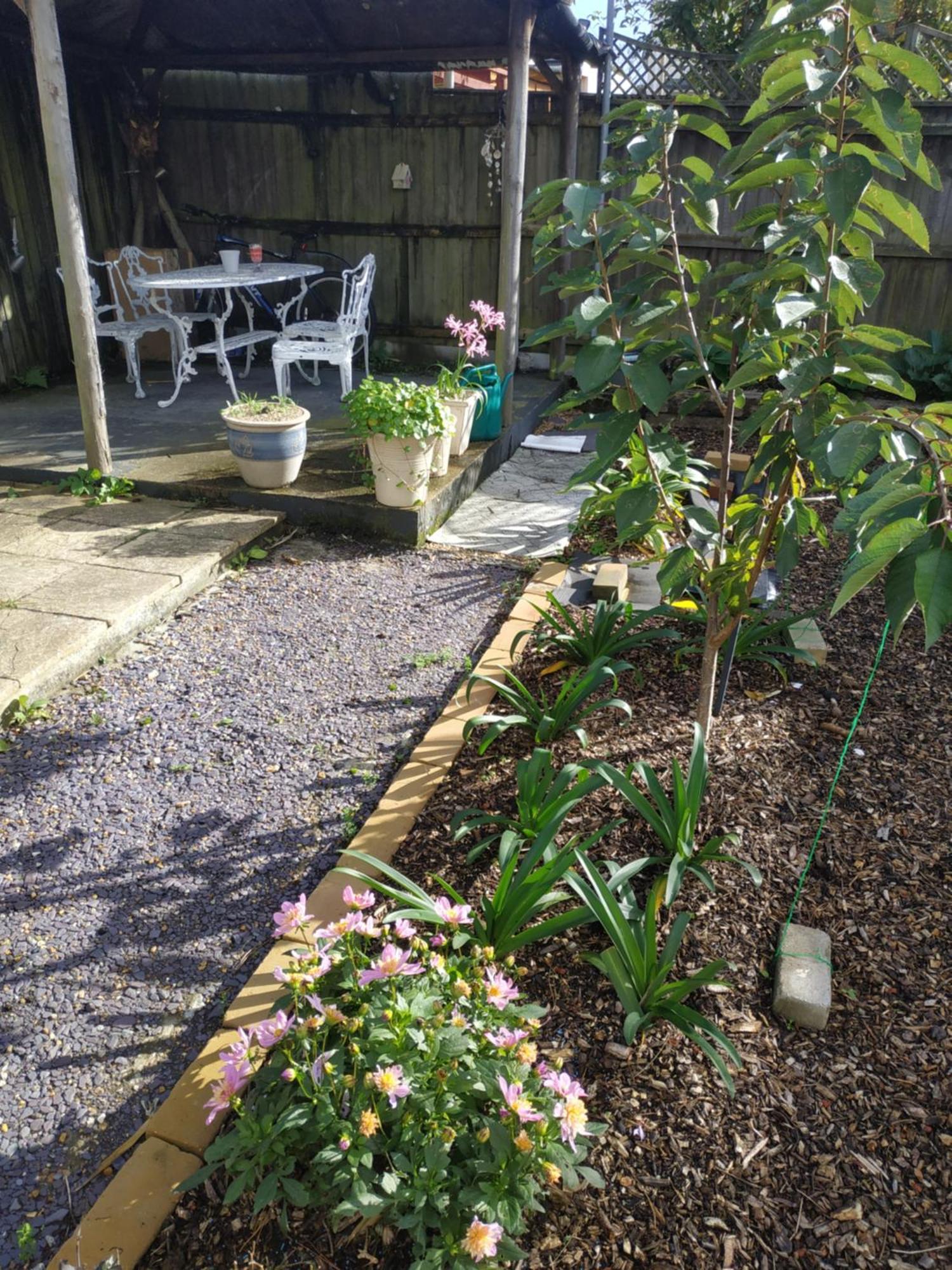 Spring Lodge Bournemouth Ngoại thất bức ảnh